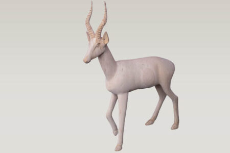 Antelope